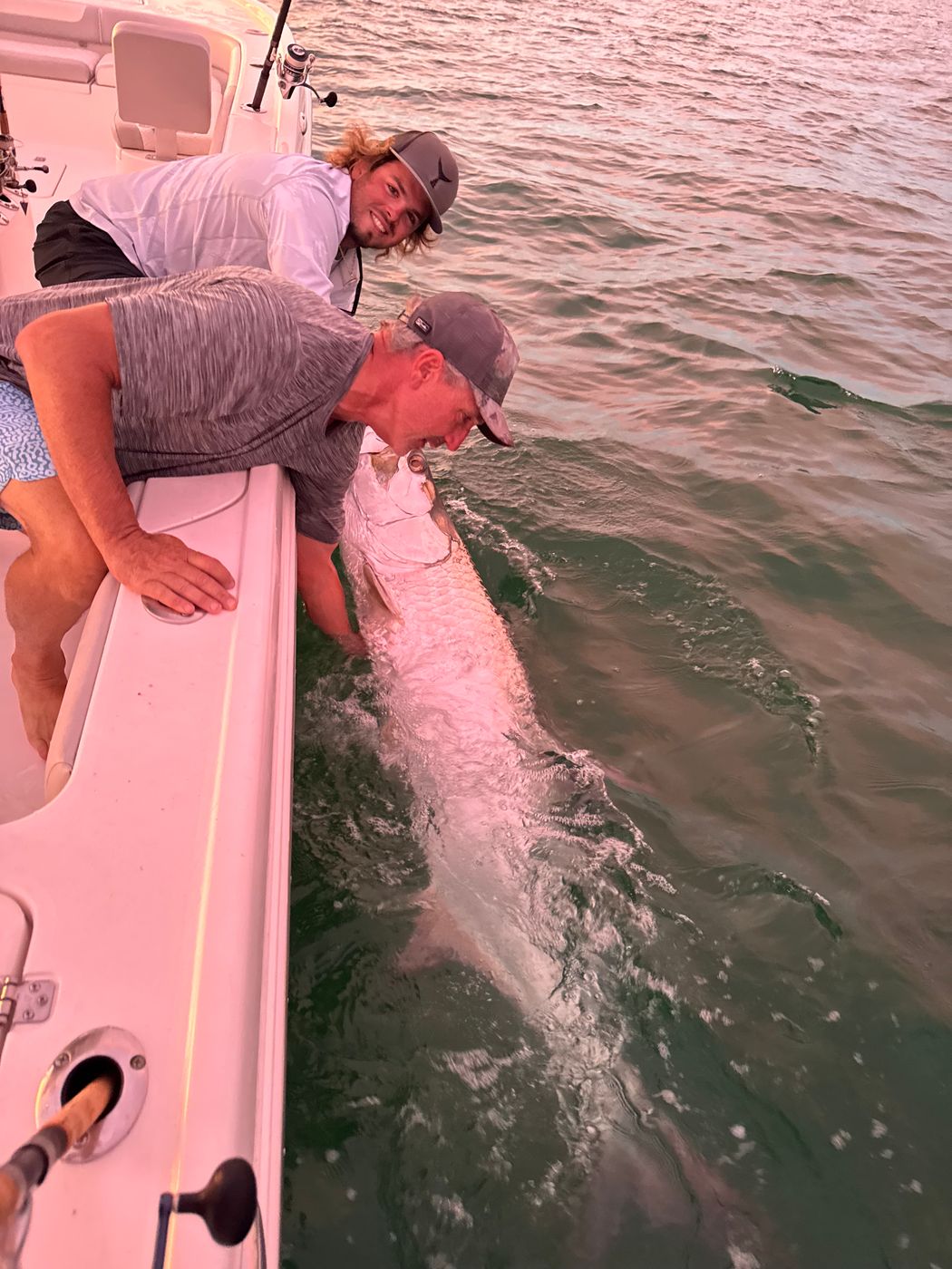 Two anglers reaching over the gunwale toward a tarpon in the water under pink evening light