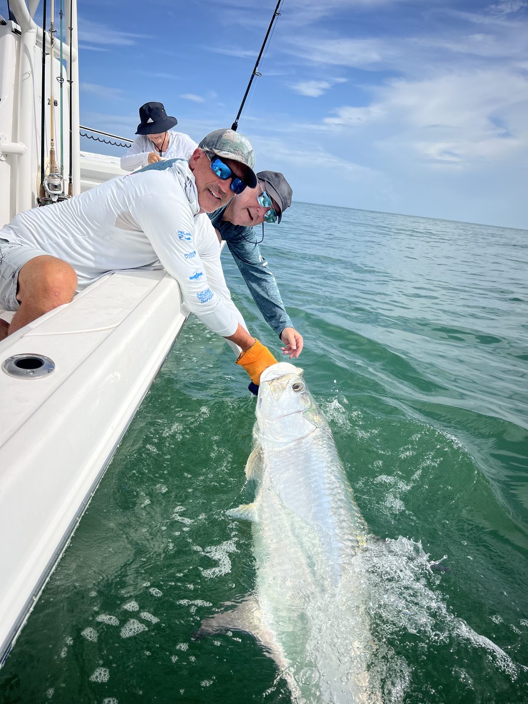 A tarpon rolling and splashing boatside as the anglers hold the leader